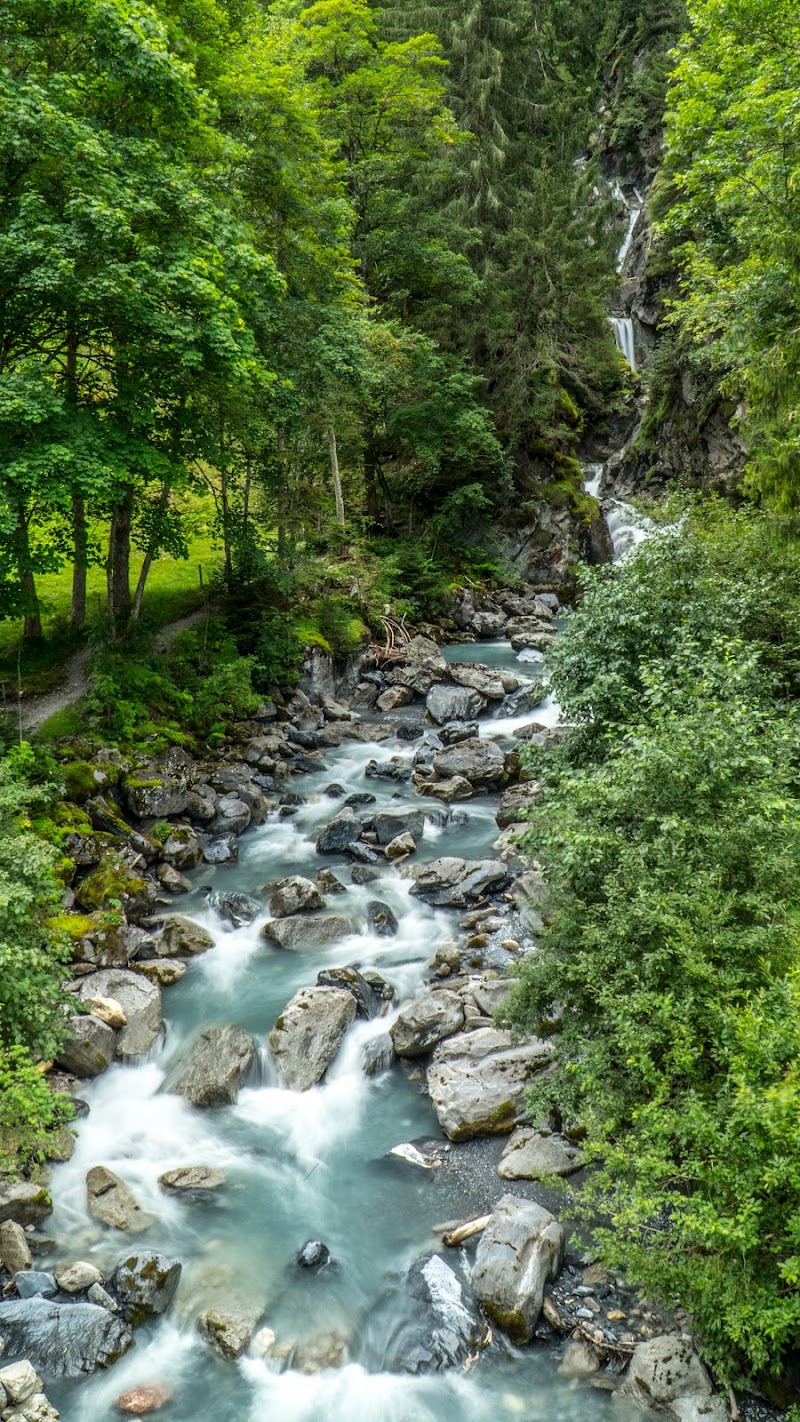 Sefinenfall