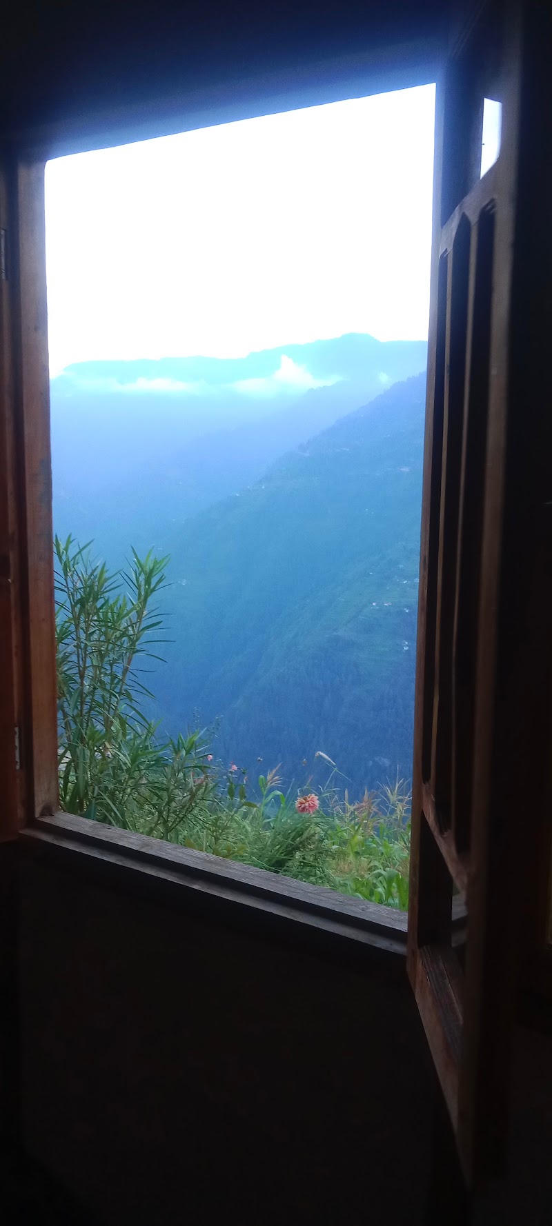 Yathra Lahari FarmStay - Yathra Lahari FarmStay H. NO75/1,Dhardi, J8Q6+29Q Pujali P. O, Bala Gad, Jibhi, Himachal Pradesh 175123, India