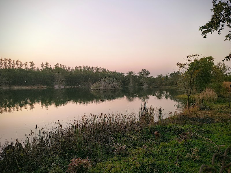 Wild life Sanctuary - Wild life Sanctuary 3QVJ+JHM, Atal Nagar-Nava Raipur, Chhattisgarh 493661, India