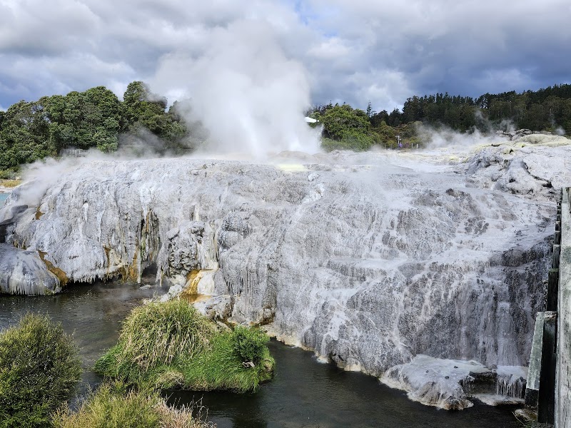 Whakarewarewa Thermal Reserve