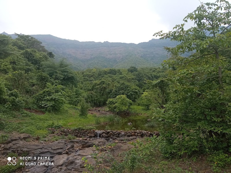 Waterfall - Waterfall, 4698+86, Wangani Tarf Taloje, Bhoj, Maharashtra 410206, India