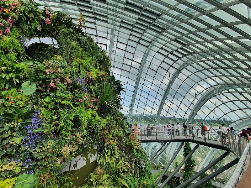 Gardens by the Bay - Gardens by the Bay 18 Marina Gardens Dr, Singapore 018953
