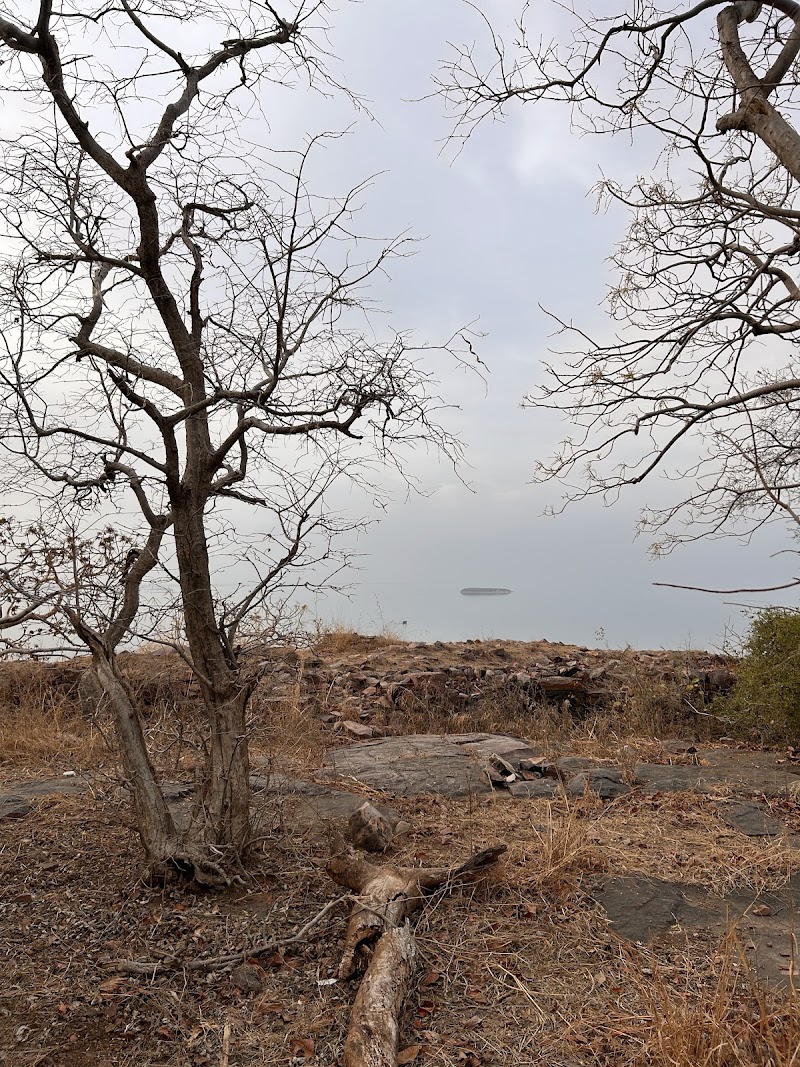 Gandhisagar Safari and Tour - Gandhisagar Safari and Tour, Bus Stand, Gandhisagar. 8 District Mandsaur, M.P. 458-771, Gandhi Sagar, Madhya Pradesh 458771, India
