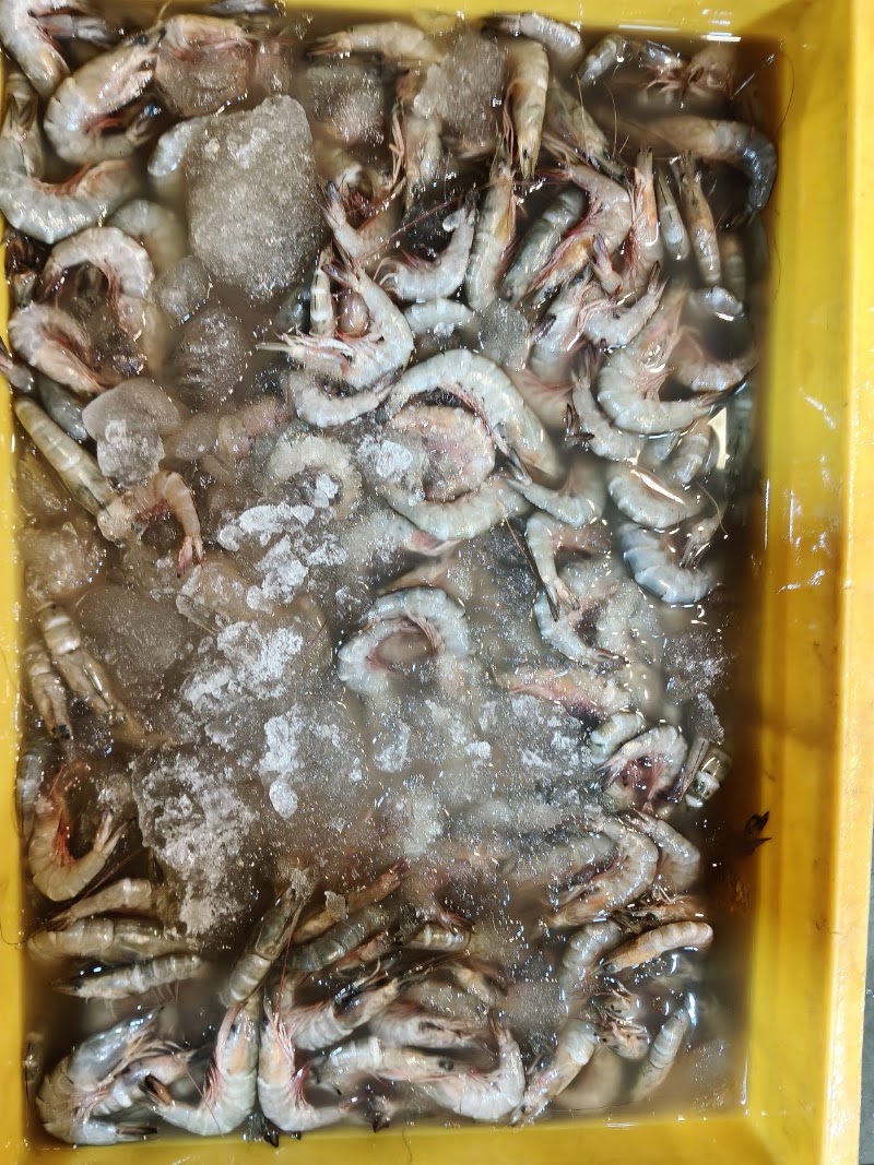 PEARL SEA FOOD - PEARL SEA FOOD, First Floor, A wing, EXPRESS ZONE, F-72, Western Urban rd, Malad, Panch Bawadi, Malad East, Mumbai, Maharashtra 400063, India