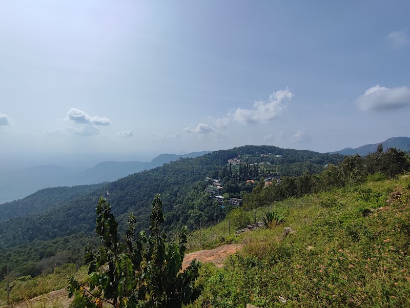 Govt. Botanical Garden - Yercaud - Govt. Botanical Garden - Yercaud 30/68, Ondikadai, Salem - Yercaud Ghat Road, Yercaud, Tamil Nadu 636602, India