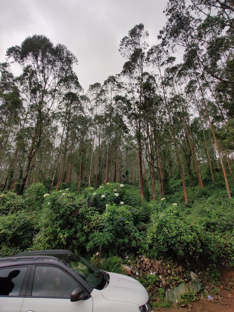 Pipeline view point. - Pipeline view point. 22VW+PG5, Munnar - Aluva Rd, Keralam 685565, India