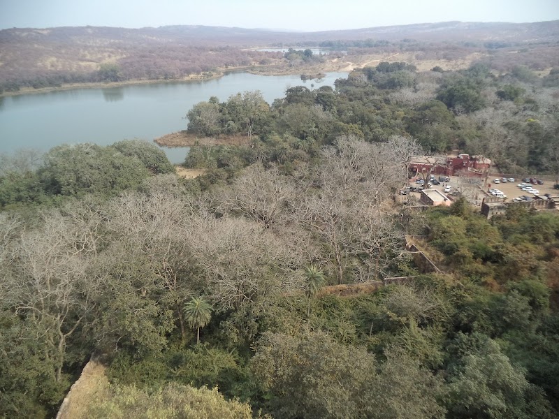Ranthambhore Fort - Ranthambhore Fort, Rajasthan, India