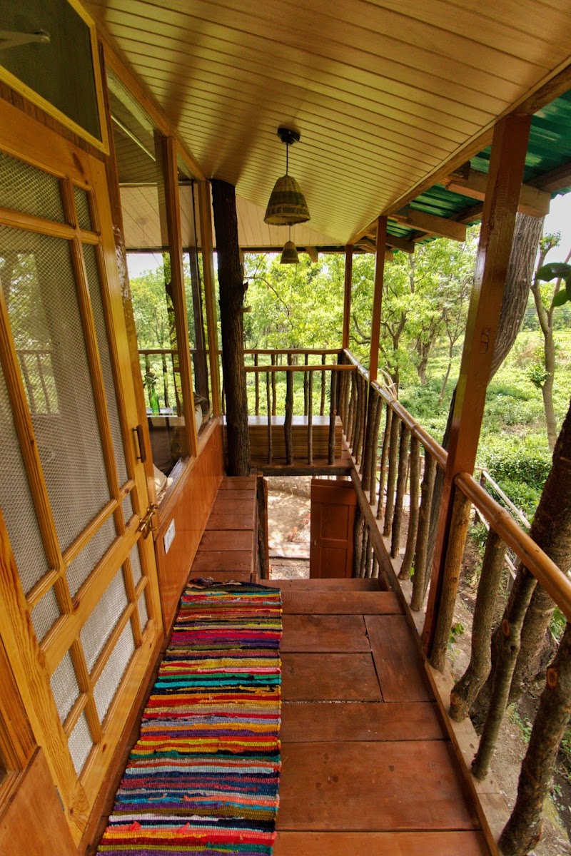 Pratham Tree House - Pratham Tree House Ward No.4, Bir Rd, Chaugan, Himachal Pradesh 176077, India