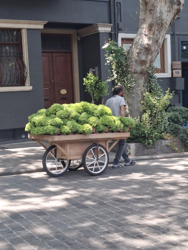 Ida - Ida, Kuzguncuk, İcadiye Cd. No:74, 34660 Üsküdar/İstanbul, Türkiye