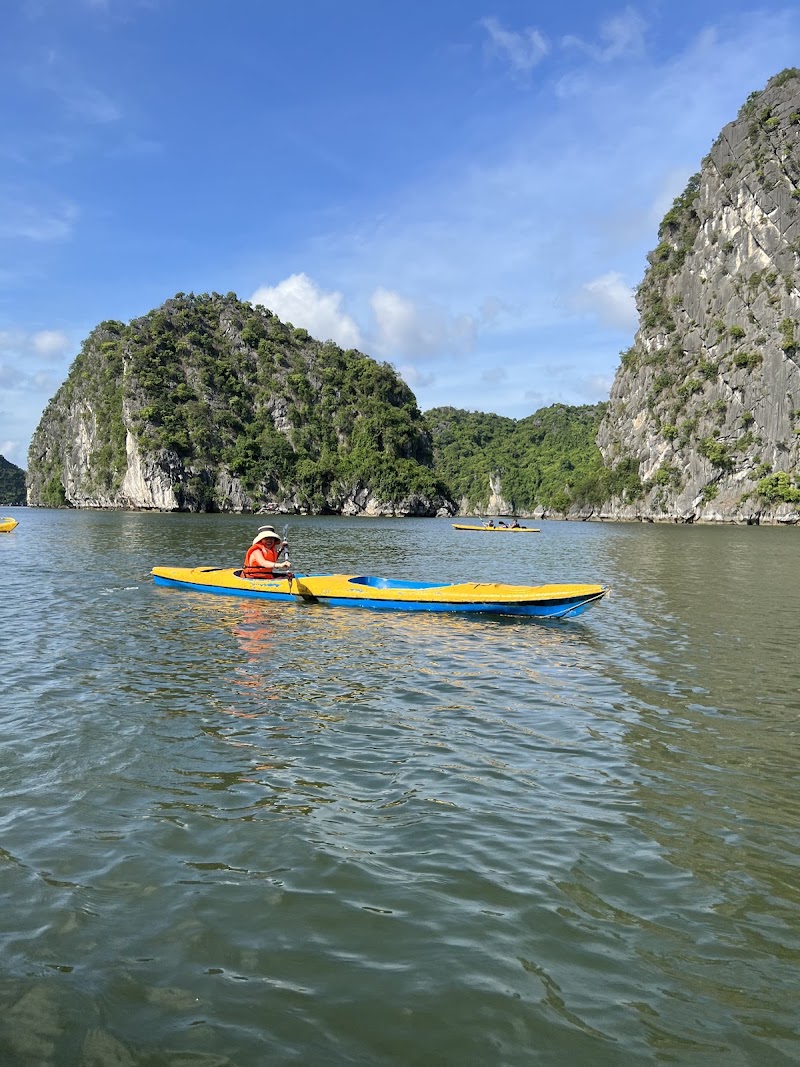 Paradise Grand Cruise - Paradise Grand Cruise No. 01 Tuan Chau Marina, Halong Bay, Ha Long, Quảng Ninh 200000, Vietnam