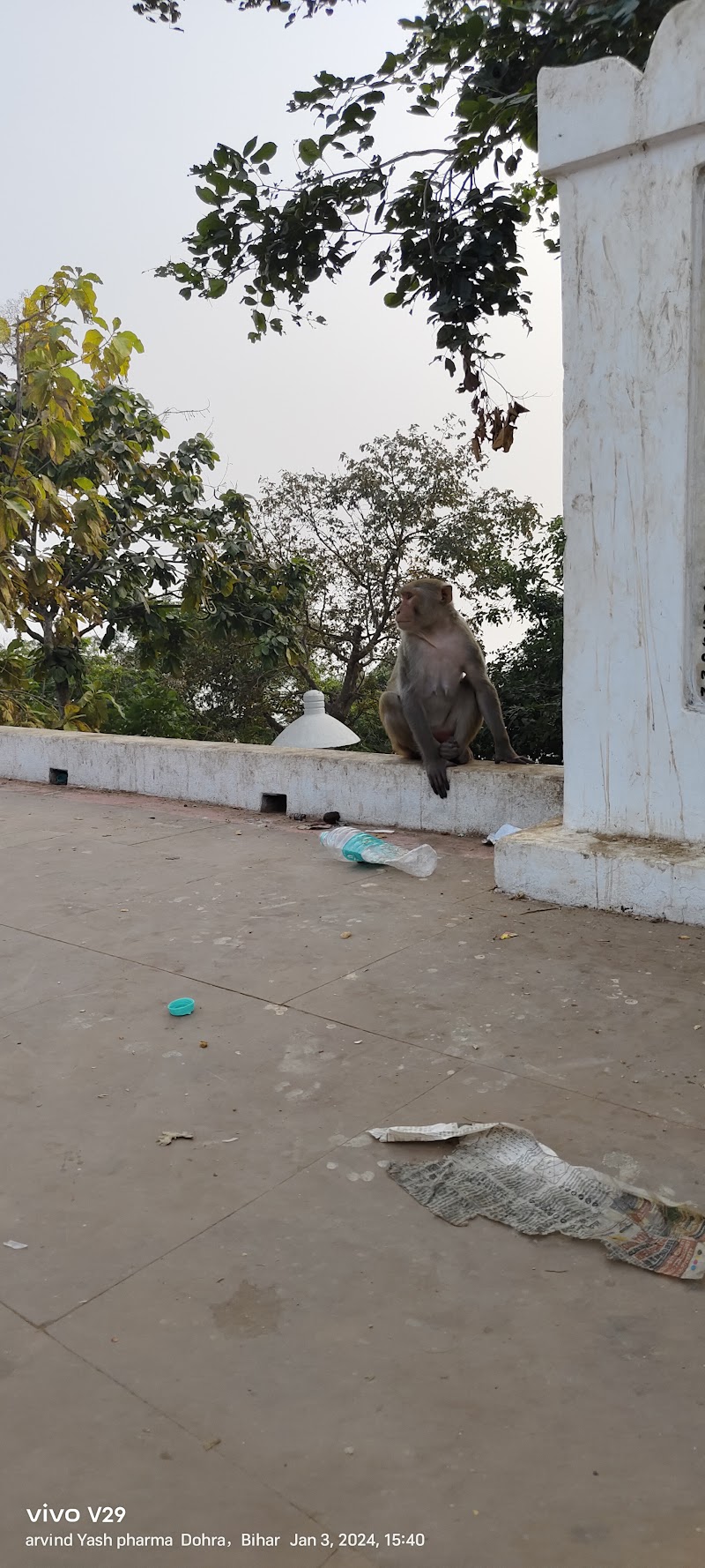 Viswa Shanti Stupa Rajgir - Viswa Shanti Stupa Rajgir 2C3V+QRC, Vishwa Shanti Stupa Rd, Rajgir, Bihar 803116, India