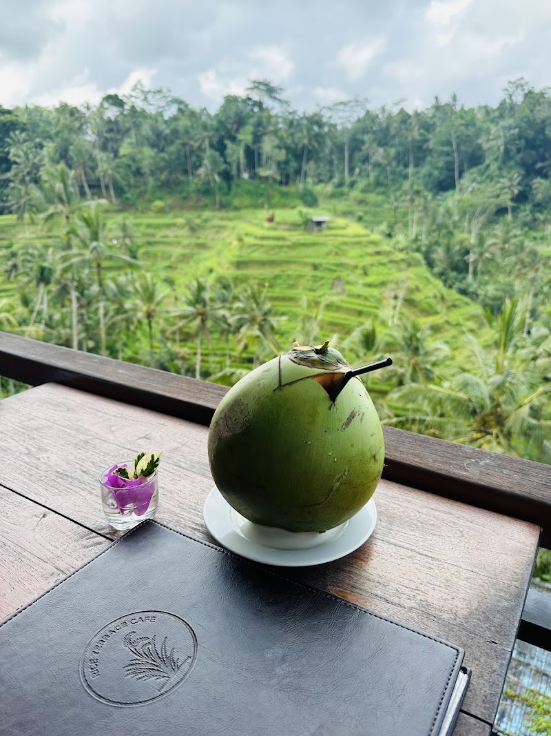 Rice terrace cafe - Rice terrace cafe Jl. Raya Tegallalang, Tegallalang, Kec. Tegallalang, Kabupaten Gianyar, Bali 80561, Indonesia