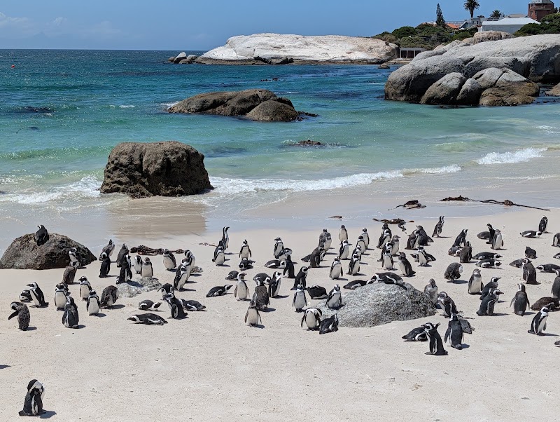 Boulders Beach - Boulders Beach, Simon's Town, Cape Town, 7995, South Africa