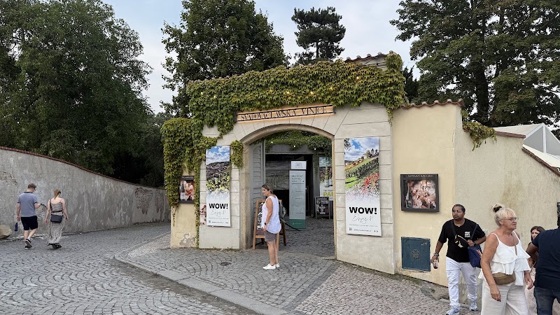 St. Wencesla's Vineyard - St. Wencesla's Vineyard, Staré zámecké schody 192/8, 119 00 Praha 1-Hradčany, Czechia