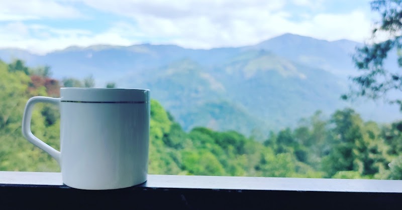 Green Tea View Homestay - Green Tea View Homestay GREEN TEA VIEW HOMESTAY, Etty City, Anachal, Kerala 685565, India