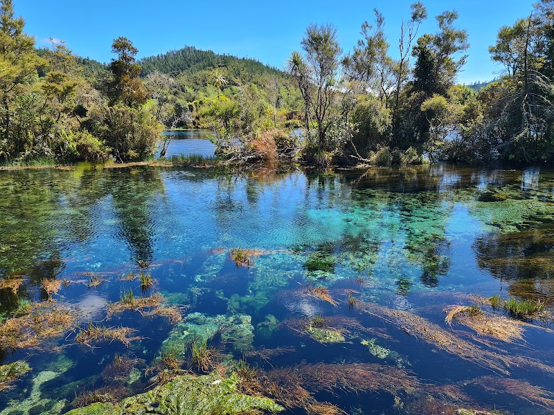 Te Waikoropupu Springs