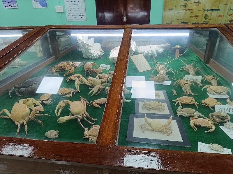 Marine Aquarium and Museum - Marine Aquarium and Museum, HJGR+H4J, Kavaratti, Lakshadweep 682555, India