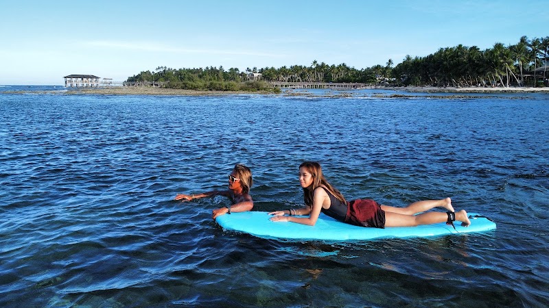 Beginner Surf Spot Jacking Horse