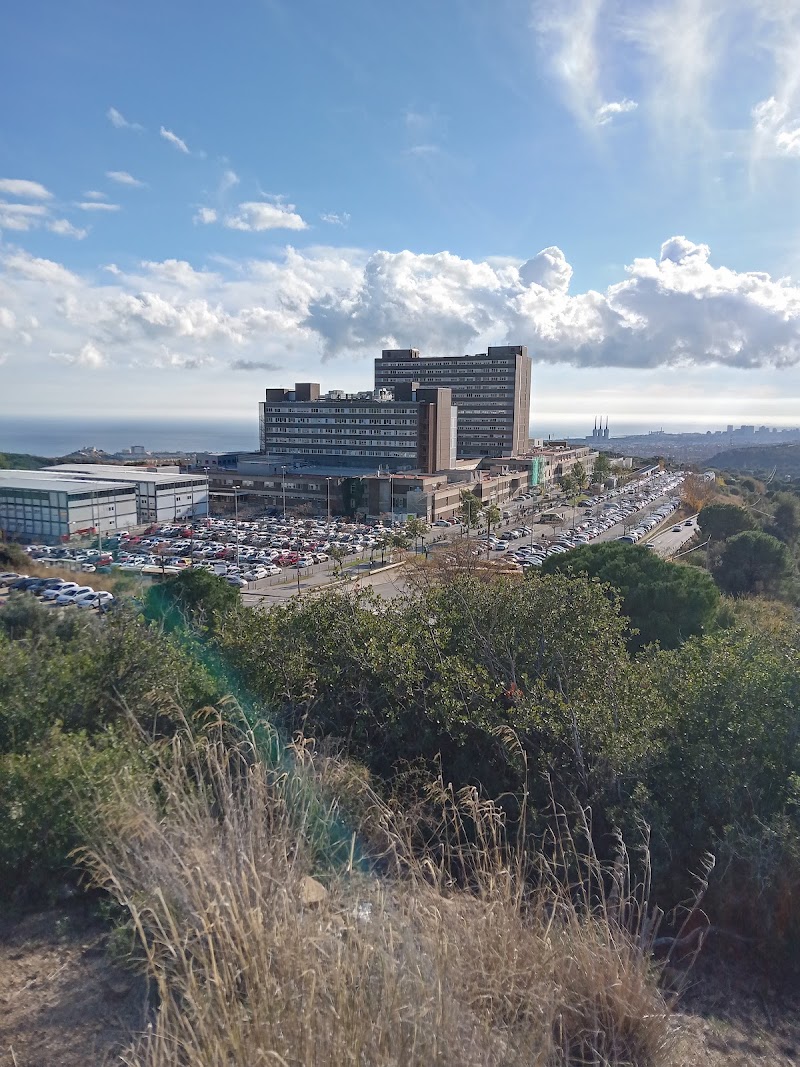 Badalona - Badalona, Barcelona, Spain