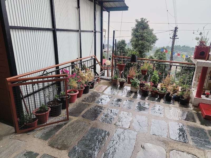 Pongdam View Homestay Dharamshala - Pongdam View Homestay Dharamshala Satobari Road, Near Dal Lake ,C/o Kali Dass Landmark, Naddi Rd, McLeod Ganj, Dharamshala, Dhial, Himachal Pradesh 176216, India