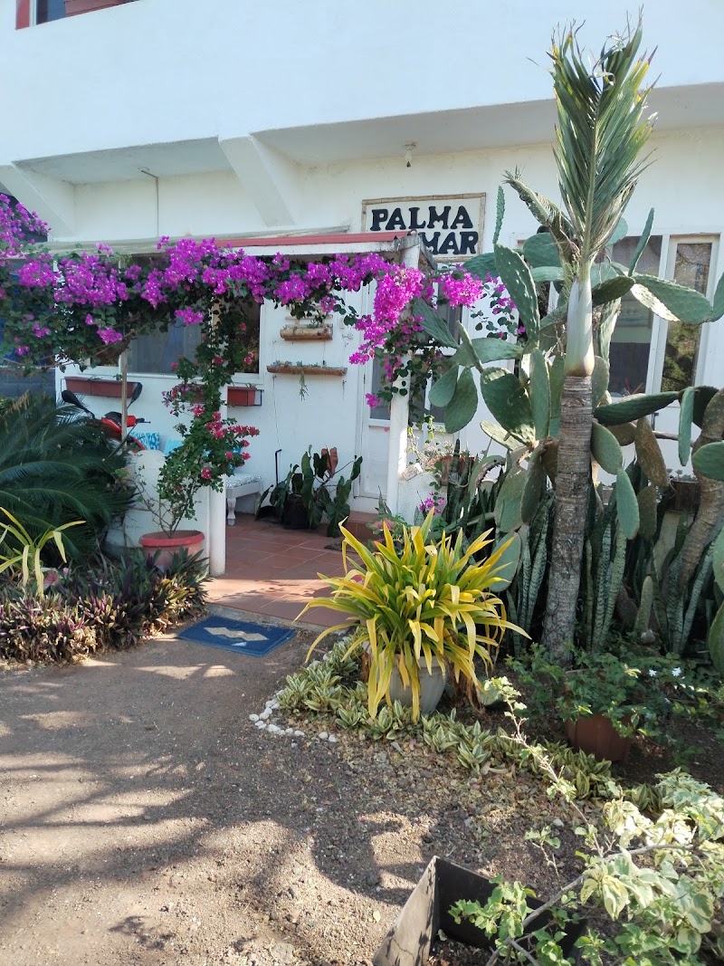 Hostal Palma Del Mar 2