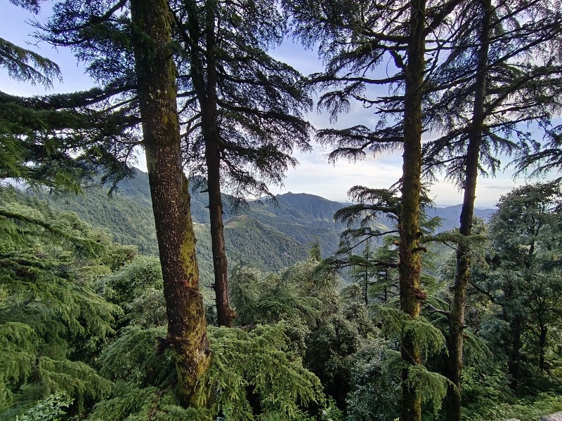 Eco Park - Eco Park Chamba - Mussoorie Rd, Dhanolti, Uttarakhand 249180, India