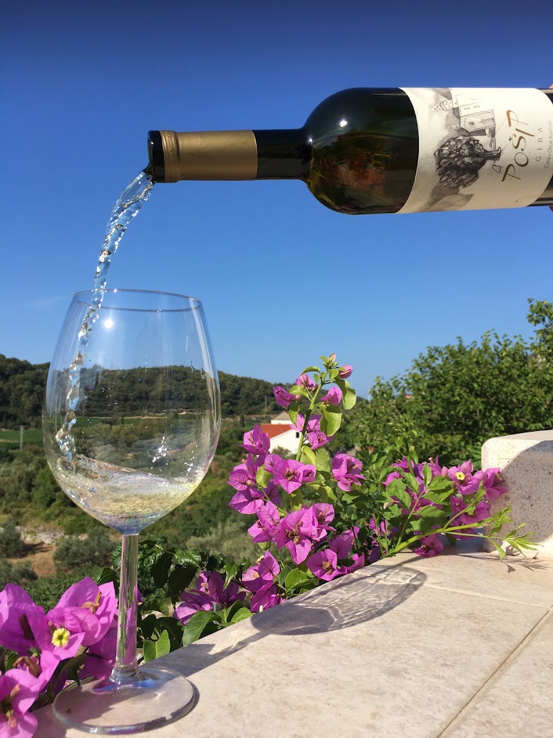 O.P.G. Laus - Winery - O.P.G. Laus - Winery, D118 202, 20273, Čara, Croatia