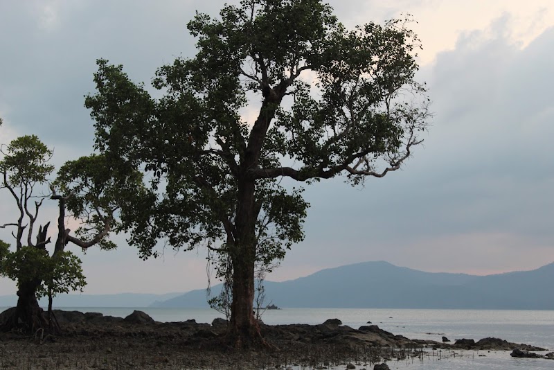 Munda Pahad Beach - Munda Pahad Beach FPR5+HGJ, Andaman and Nicobar Islands 744105, India