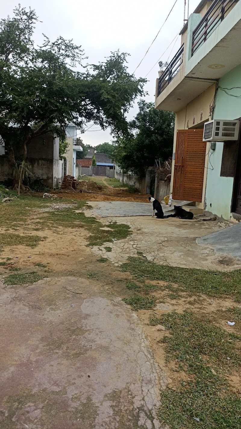 Dayal Das Mandir - Dayal Das Mandir 922M+4MW, Tikli, Haryana 122101, India