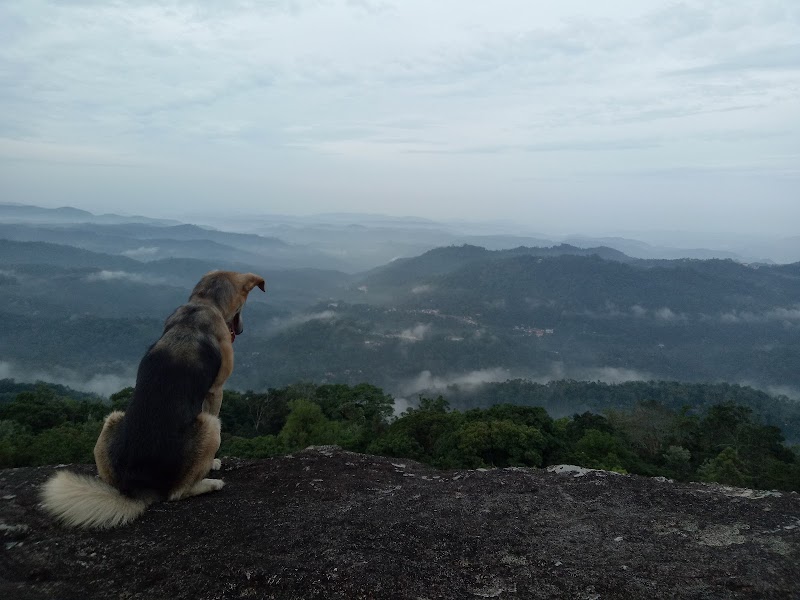 Muthanmudi View Point - Muthanmudi View Point Pallivasal, Keralam 685565, India