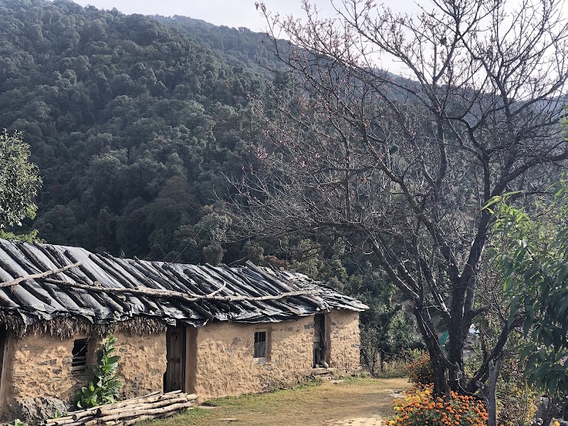 Kedarkantha Trek - Trekking in sankri