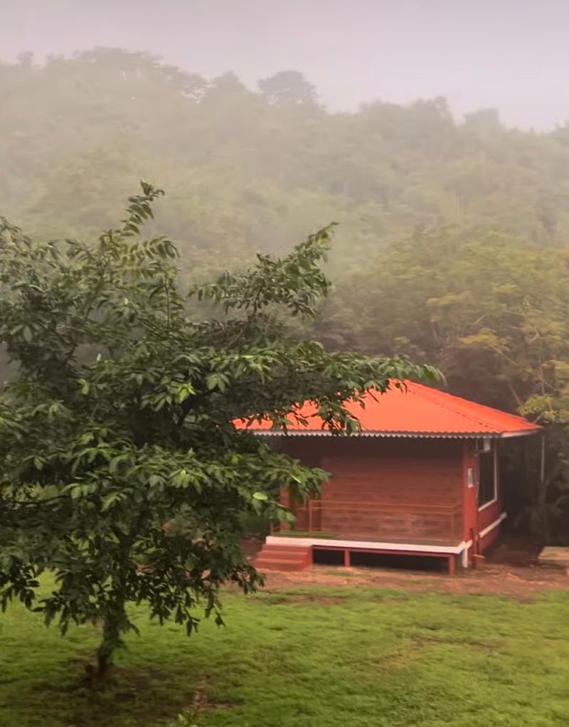 LeafyDen Forest Cottages by Nature Hill - LeafyDen Forest Cottages by Nature Hill, Talekhar, Taluka Murud, Dist-Raigad Alibaugh, Road, Alibaugh, Supegaon, Alibaugh, Maharashtra 402109, India
