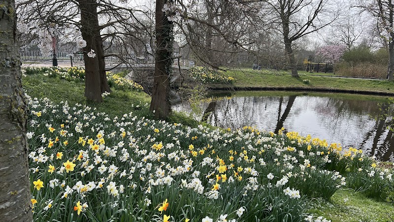 Het Plantsoen - Het Plantsoen, Plantsoen 41, 2311 KH Leiden, Netherlands