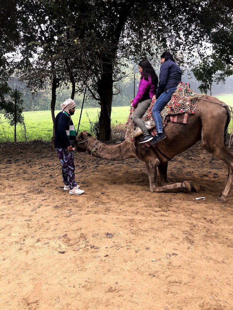 Botanix Nature Resort - Botanix Nature Resort Damdama Village, Near Damdama Lake, Sohna Rd, Damdama, Tehsil, Sohna, Abhepur, Haryana 122102, India