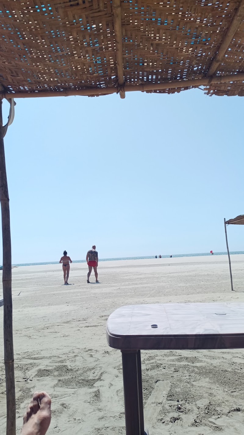 MORJIM BEACH NORTH GOA - MORJIM BEACH NORTH GOA, 943, Morjim Beach Road, Morjim, Goa 403512, India