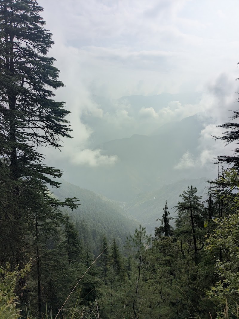 Chakrata Trek and Tours - Chakrata Trek and Tours, Village Jadi, near Deoban, Chakrata C/O, Adventure Park, Chakrata, Jadi, Uttarakhand 248123, India