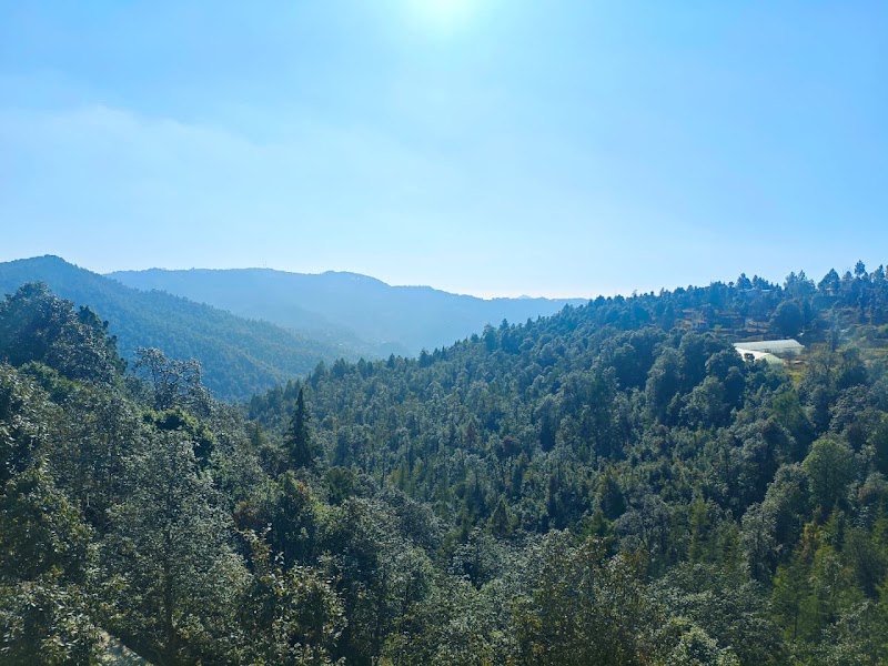 Mukteshwar Valley Resort - Mukteshwar Valley Resort, Muketshwar, Letibunga, Road, Bhatelia, Dhanachuli, Uttarakhand 263132, India