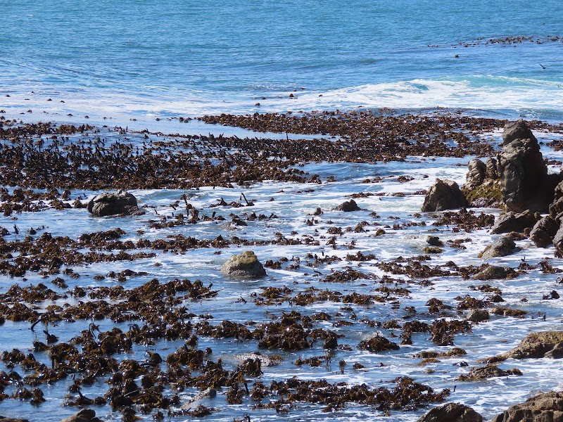 Betty's Bay - Betty's Bay, 7141, South Africa