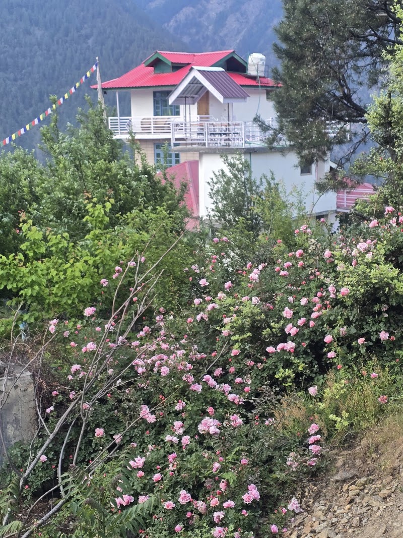 KinVatika Homestay - KinVatika Homestay Village shudharang Post Office, Tehsil, Reckong Peo, Kalpa, Himachal Pradesh 172107, India