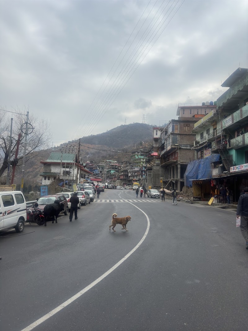 Everest Dhaba - Everest Dhaba HW8M+3RR, Bhawanagar, Sungra, Himachal Pradesh 172115, India