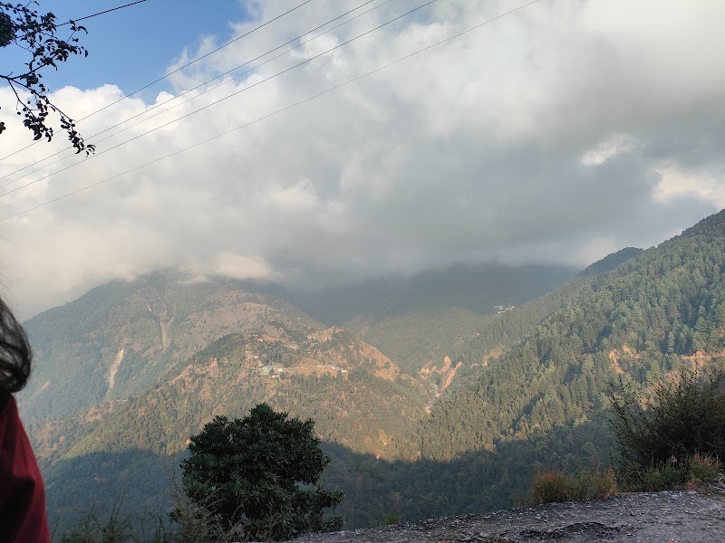 Naddi Road - Naddi Road, Naddi Rd, Naddi, Dharamshala, Himachal Pradesh 176216, India