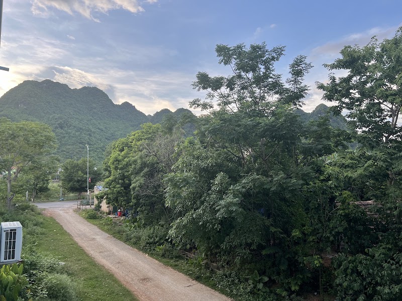 Phong Nha Cherish House - Phong Nha Cherish House Victory Road/20 town, Phong NHA, Phong Nha, Quảng Trị 311860, Vietnam