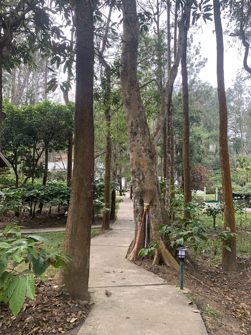 The Wilderness Resort - The Wilderness Resort Allurvayal, Thorpally, Mudumalai, Gudalur, Tamil Nadu 643211, India