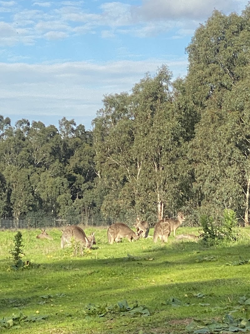 Yarra Valley Parklands - Yarra Valley Parklands, Fitzsimons Ln, Templestowe VIC 3106, Australia