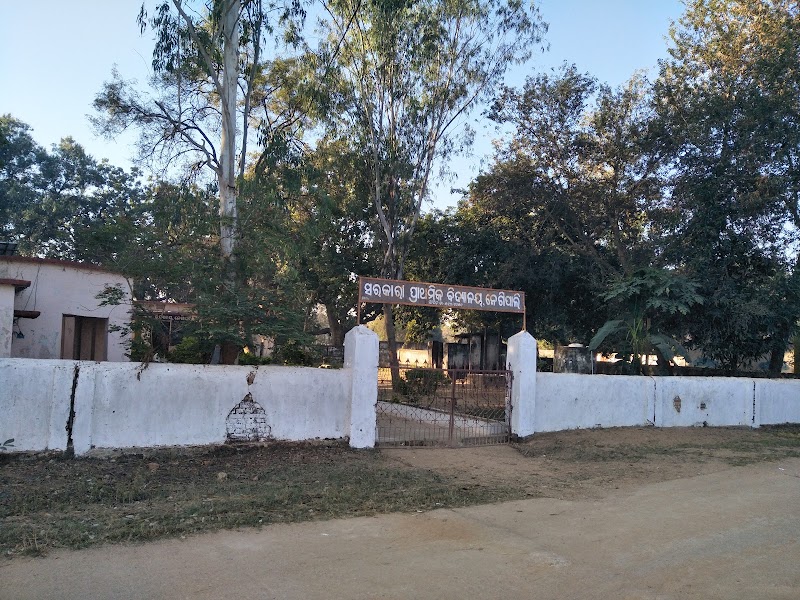 Negipali School, Bisora, NUAPADA, Odisha, IND 766104 - Negipali School, Bisora, NUAPADA, Odisha, IND 766104, 2J3C+23V, school, Negipali, Doto, Odisha 766104, India