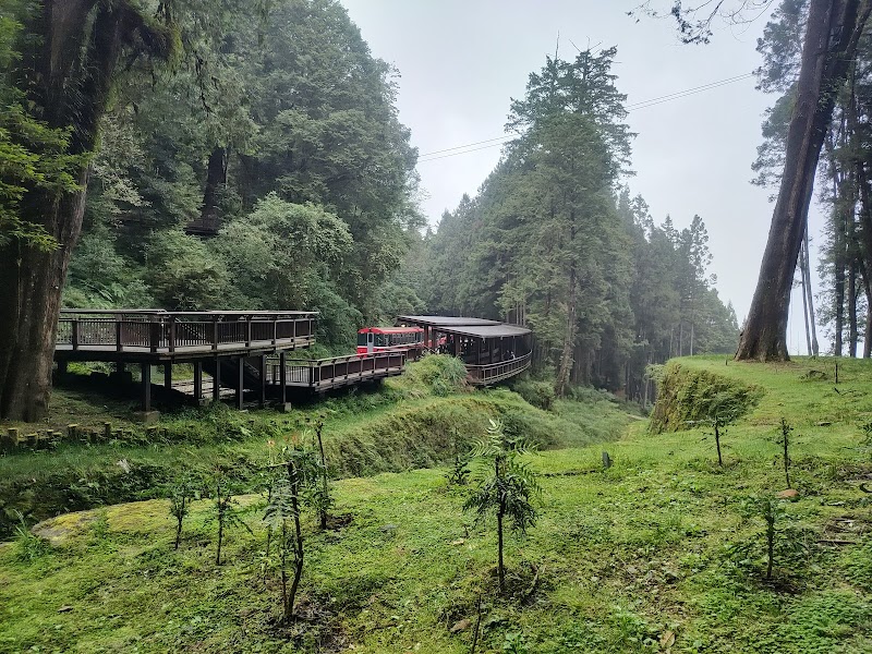 Alishan Train Station - Alishan Train Station 605, Taiwan, Chiayi County, Alishan Township, Zhongzheng Village, Alishan National Forest Recreation Area, 1號