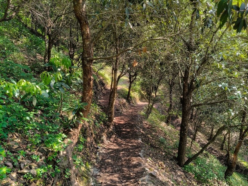 Sattal Valley Resort - Sattal Valley Resort Suriyagaon, Sattal, Uttarakhand 263136, India
