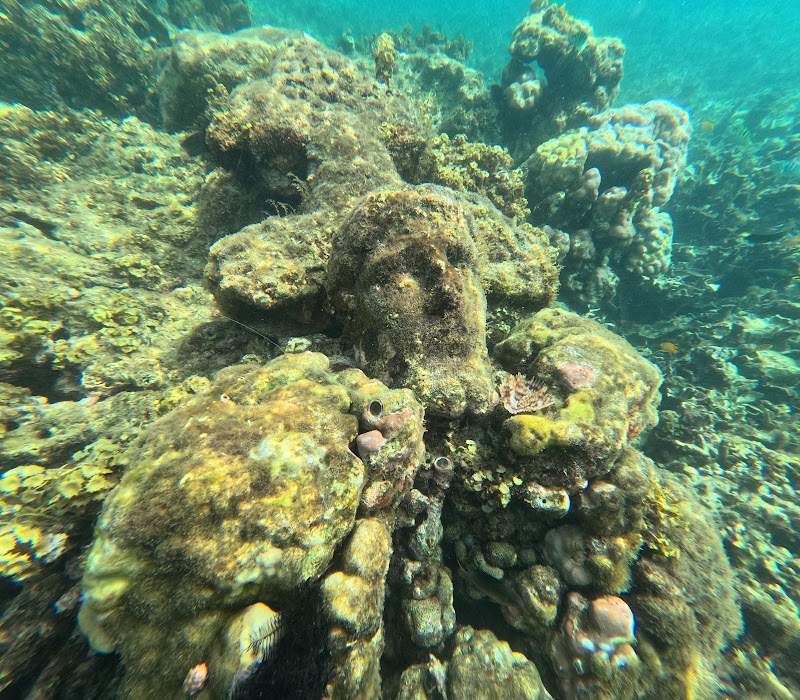 Sunken Cemetery - Sunken Cemetery, 6J4M+P54, Catarman, Camiguin, Philippines