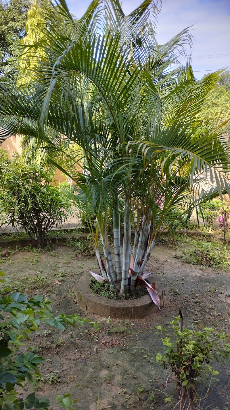 SHA'S HOUSE - SHA'S HOUSE, PVQ9+M2, Khadam, Odisha 768211, India