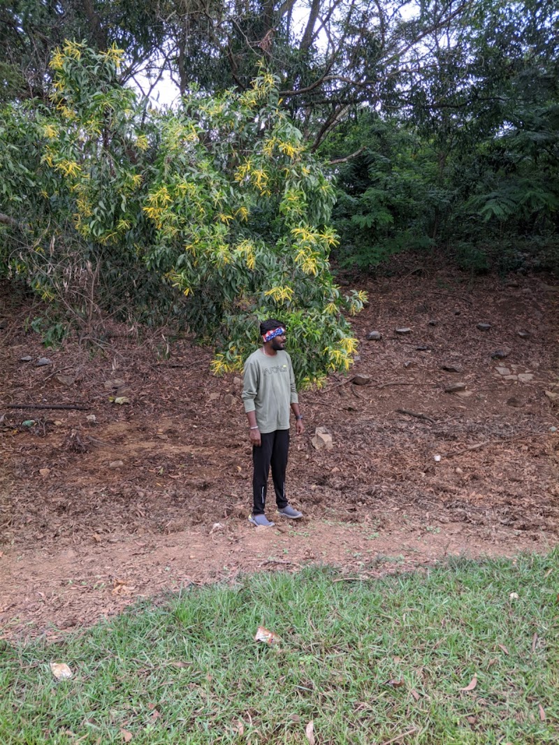 Babasaheb Dr. B R Ambedkar forest Path - Babasaheb Dr. B R Ambedkar forest Path WGQ4+HQ, Mutharayana Nagar, Gnana Bharathi, Bengaluru, Karnataka 560056, India
